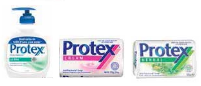 PROTEX